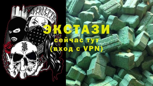 гидра Богородицк