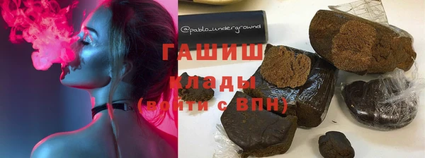 гидра Богородицк
