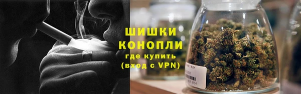 каннабис Богданович