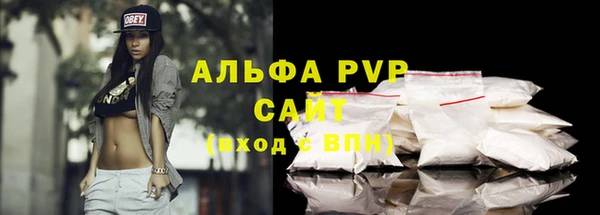 гидра Богородицк