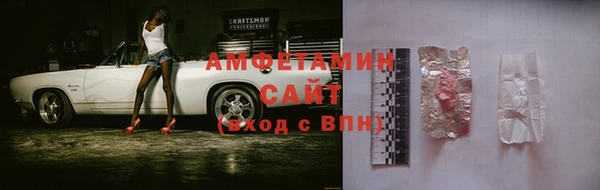 гидра Богородицк