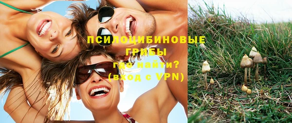 ГАЛЛЮЦИНОГЕННЫЕ ГРИБЫ Семёнов