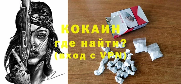 гидра Богородицк