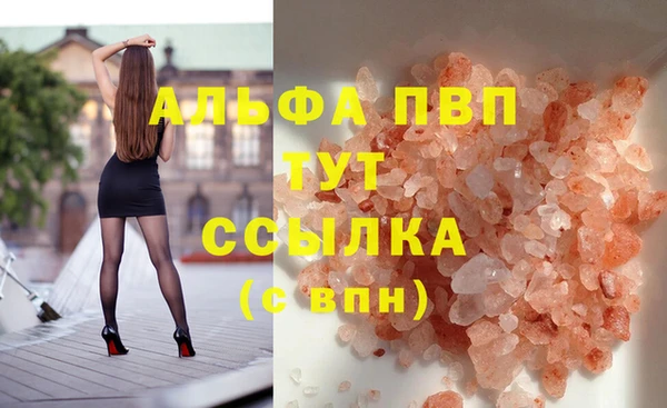 мяу мяу мука Белокуриха