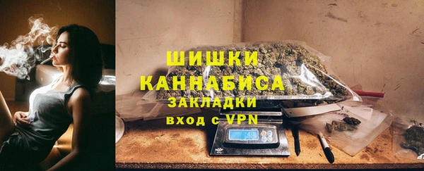 гидра Богородицк