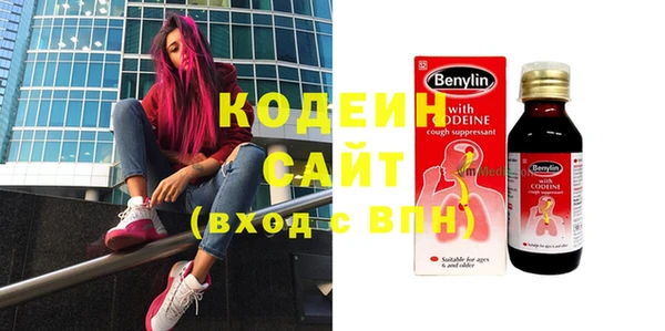 гидра Богородицк