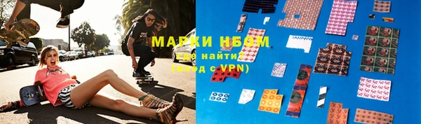гидра Богородицк
